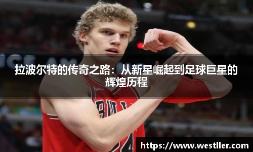 ld乐动官方网站